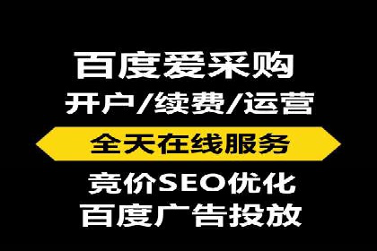 百度推广中SEO优化的成功案例分析